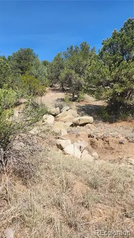 161 Ponderosa Lane Cotopaxi, CO 81223