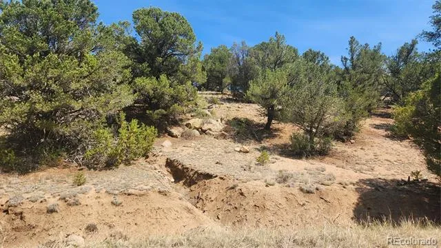 161 Ponderosa Lane Cotopaxi, CO 81223