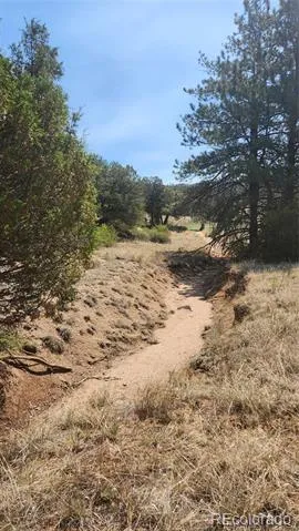 161 Ponderosa Lane Cotopaxi, CO 81223
