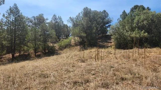 161 Ponderosa Lane Cotopaxi, CO 81223