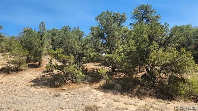 161 Ponderosa Lane Cotopaxi, CO 81223