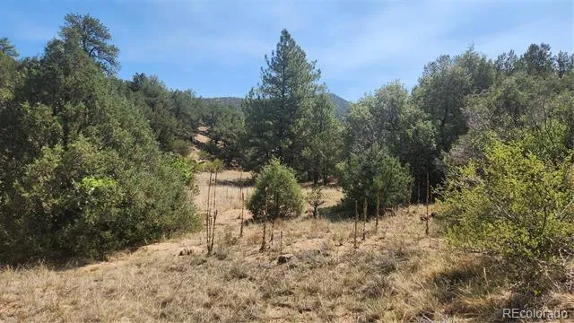 161 Ponderosa Lane Cotopaxi, CO 81223