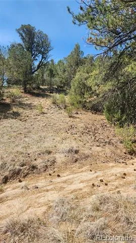 161 Ponderosa Lane Cotopaxi, CO 81223