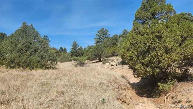 161 Ponderosa Lane Cotopaxi, CO 81223