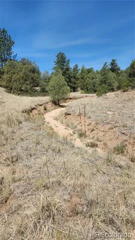 161 Ponderosa Lane Cotopaxi, CO 81223