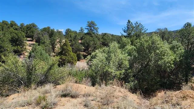 161 Ponderosa Lane Cotopaxi, CO 81223