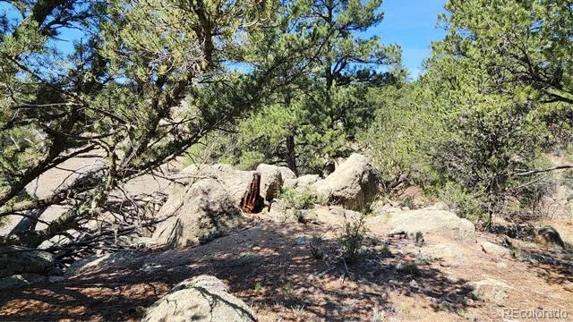 161 Ponderosa Lane Cotopaxi, CO 81223
