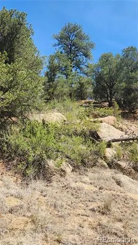 161 Ponderosa Lane Cotopaxi, CO 81223