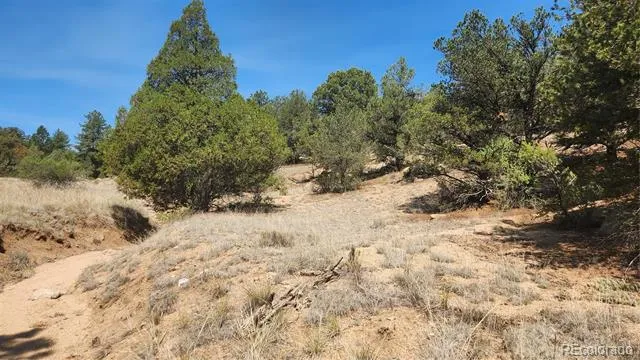 161 Ponderosa Lane Cotopaxi, CO 81223