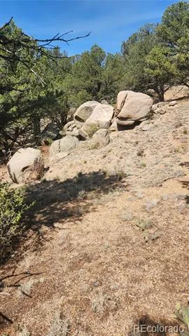 161 Ponderosa Lane Cotopaxi, CO 81223