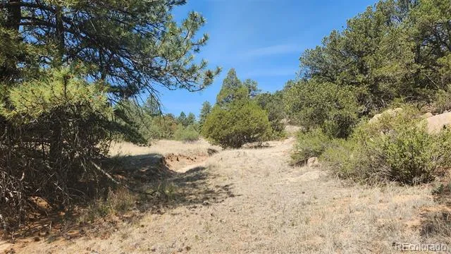 161 Ponderosa Lane Cotopaxi, CO 81223