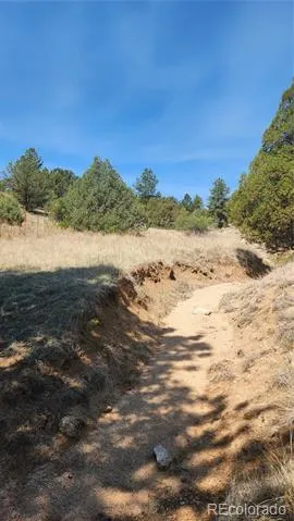 161 Ponderosa Lane Cotopaxi, CO 81223