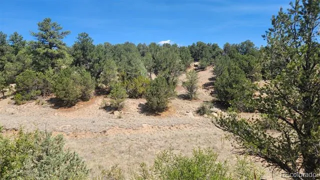 161 Ponderosa Lane Cotopaxi, CO 81223