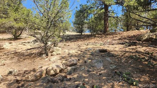 161 Ponderosa Lane Cotopaxi, CO 81223