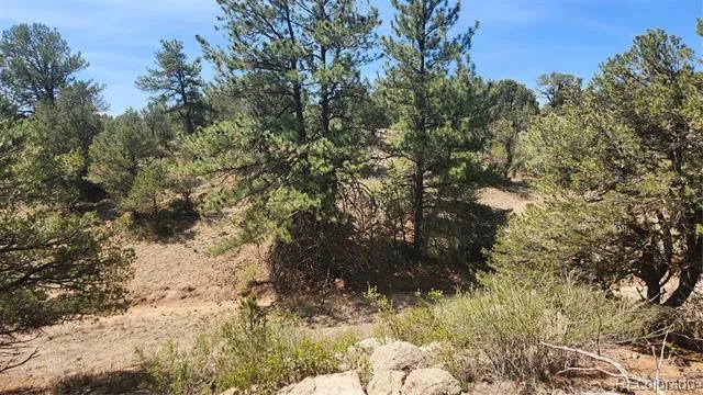 161 Ponderosa Lane Cotopaxi, CO 81223