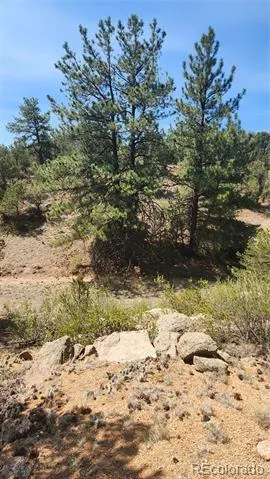 161 Ponderosa Lane Cotopaxi, CO 81223