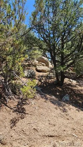 161 Ponderosa Lane Cotopaxi, CO 81223
