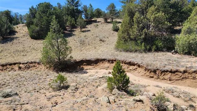 161 Ponderosa Lane Cotopaxi, CO 81223