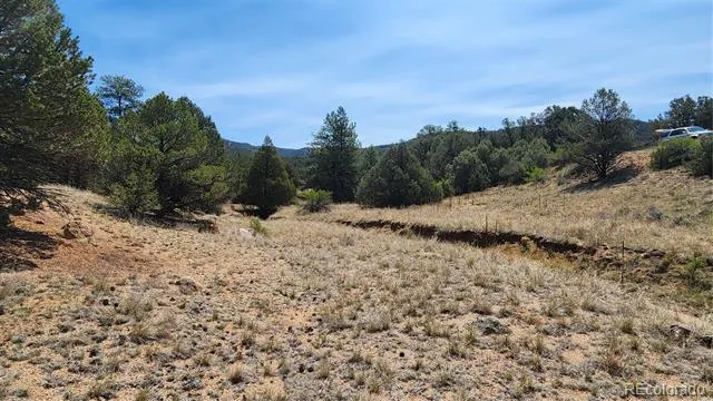 161 Ponderosa Lane Cotopaxi, CO 81223