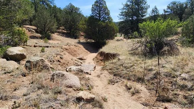 161 Ponderosa Lane Cotopaxi, CO 81223