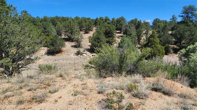 161 Ponderosa Lane Cotopaxi, CO 81223