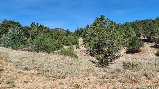 161 Ponderosa Lane Cotopaxi, CO 81223