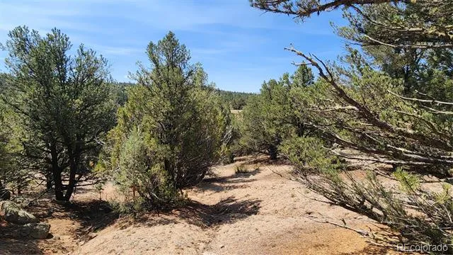 161 Ponderosa Lane Cotopaxi, CO 81223