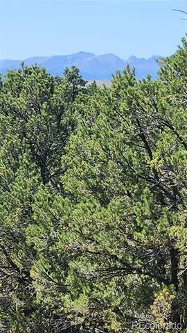 161 Ponderosa Lane Cotopaxi, CO 81223