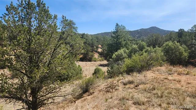 161 Ponderosa Lane Cotopaxi, CO 81223