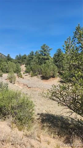 161 Ponderosa Lane Cotopaxi, CO 81223
