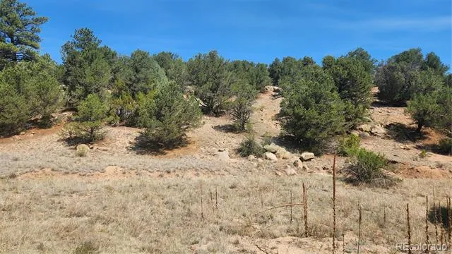 161 Ponderosa Lane Cotopaxi, CO 81223