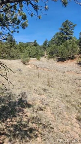 161 Ponderosa Lane Cotopaxi, CO 81223