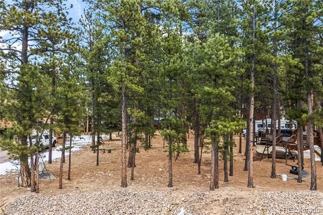 109 Flagstick Drive Woodland Park, CO 80863