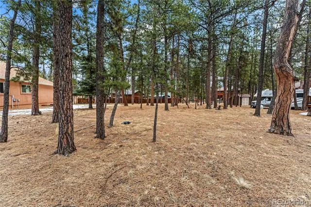 109 Flagstick Drive Woodland Park, CO 80863