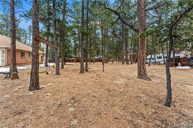 109 Flagstick Drive Woodland Park, CO 80863