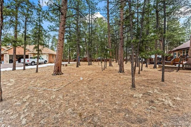109 Flagstick Drive Woodland Park, CO 80863