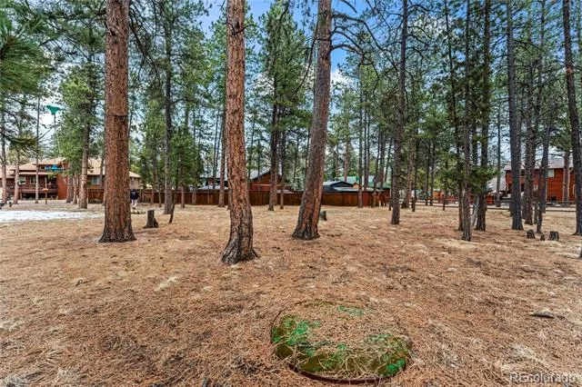 109 Flagstick Drive Woodland Park, CO 80863