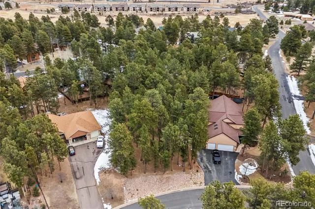 109 Flagstick Drive Woodland Park, CO 80863
