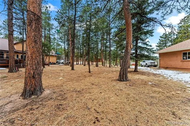 109 Flagstick Drive Woodland Park, CO 80863