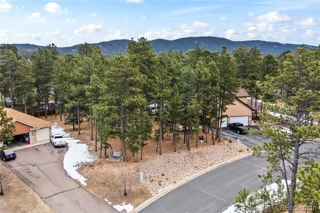 109 Flagstick Drive Woodland Park, CO 80863