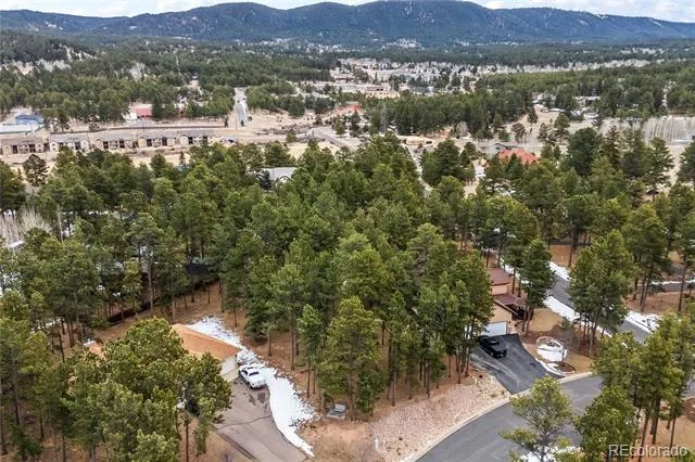 109 Flagstick Drive Woodland Park, CO 80863