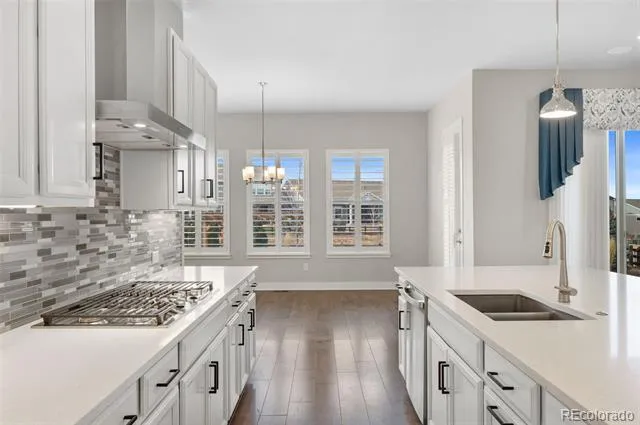 3351 Carabiner Street Castle Rock, CO 80108