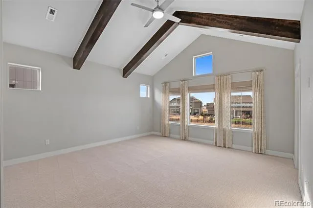 3351 Carabiner Street Castle Rock, CO 80108