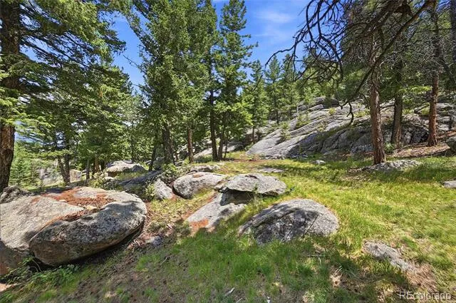32042 Horseshoe Drive Evergreen, CO 80439