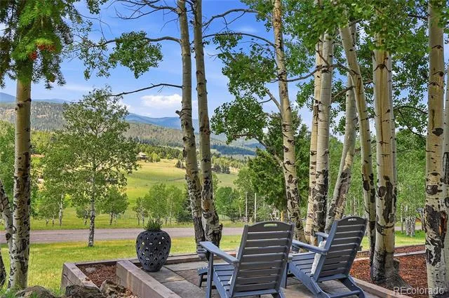 32042 Horseshoe Drive Evergreen, CO 80439