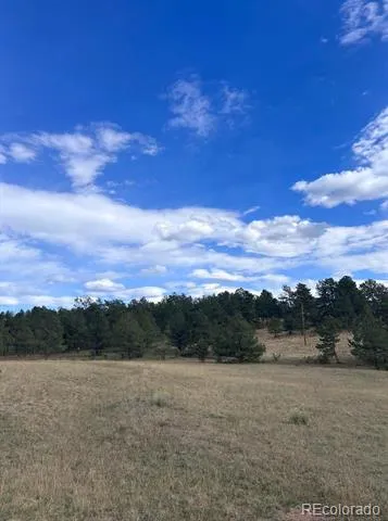 382 Arrowhead Drive Florissant, CO 80816