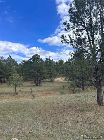 382 Arrowhead Drive Florissant, CO 80816