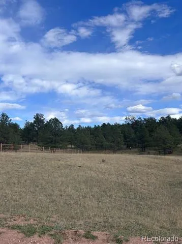 382 Arrowhead Drive Florissant, CO 80816