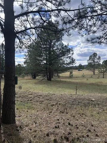 382 Arrowhead Drive Florissant, CO 80816