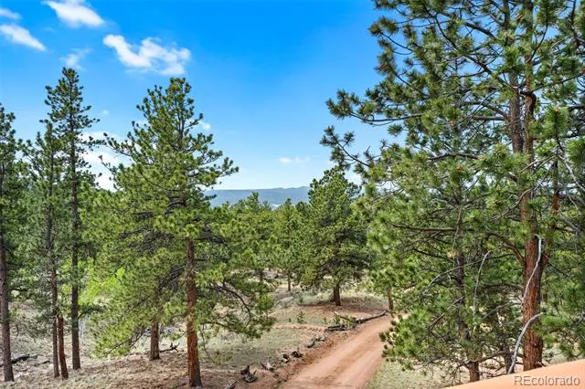 605 Obsidian Drive Florissant, CO 80816